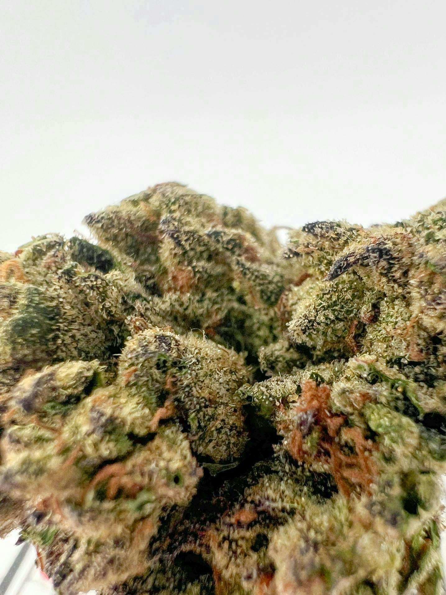 Off The Path Cannabis - Off The Path Cannabis | Ice Cream Cake | Big Buds | 28g - 1