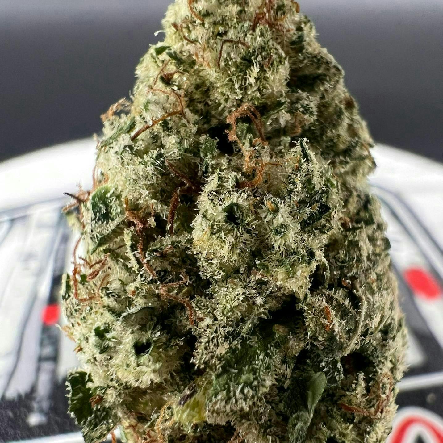 Off The Path Cannabis - Off The Path Cannabis | Gorilla Glue #4 | Big Buds | 28g - 1