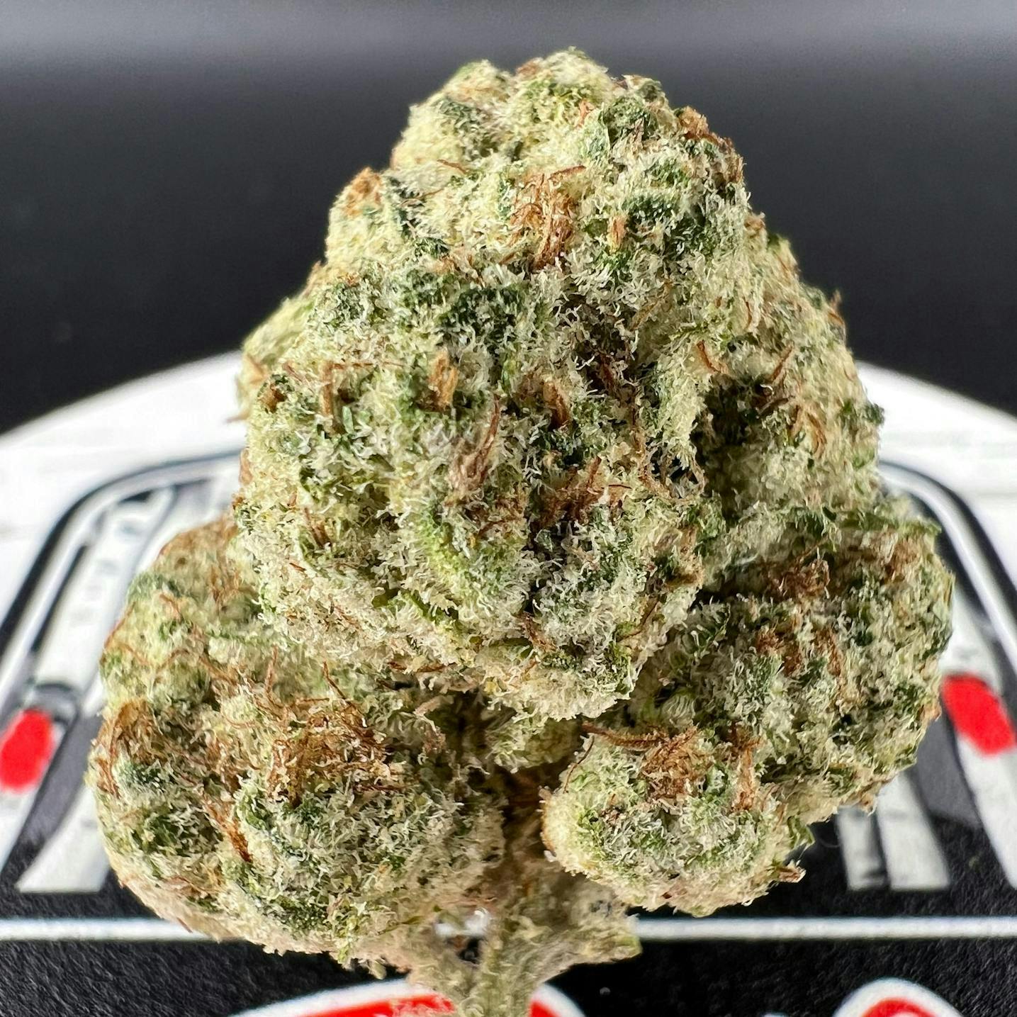 Off The Path Cannabis - Amaretto Mintz - Hybrid - Flower 7g - 1