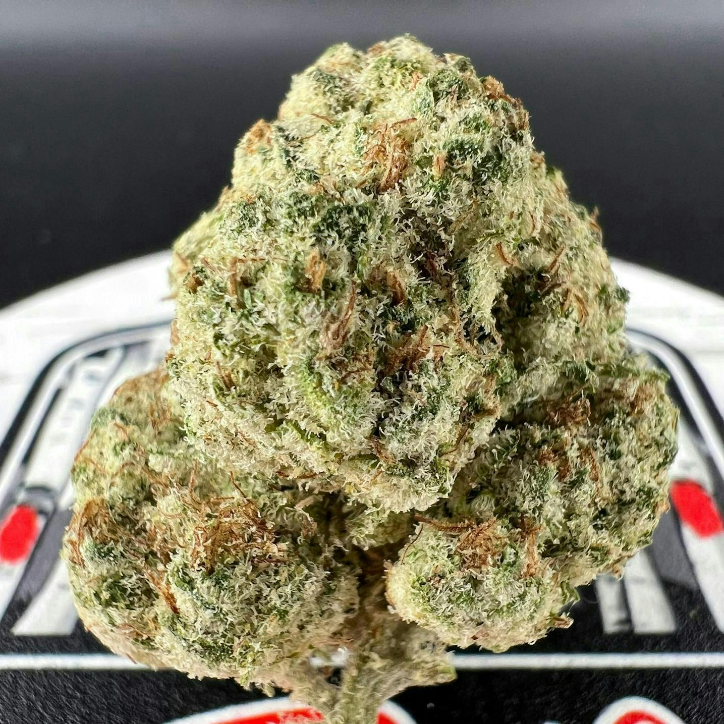 Off The Path Cannabis - Off The Path Cannabis | Amaretto Mintz | Big Buds | 28g - 1
