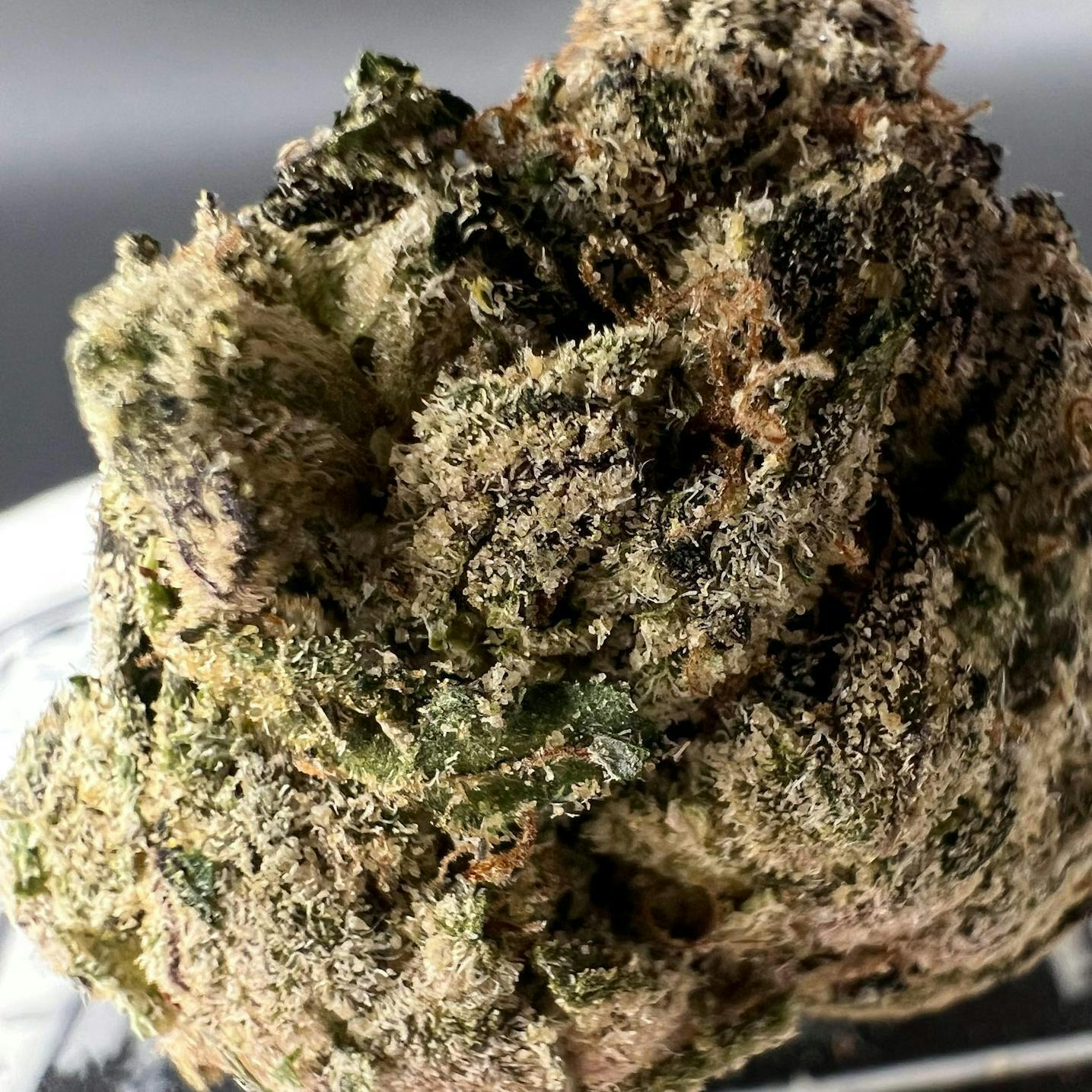 Off The Path Cannabis - High Society OG - Indica - Flower 7g - 1