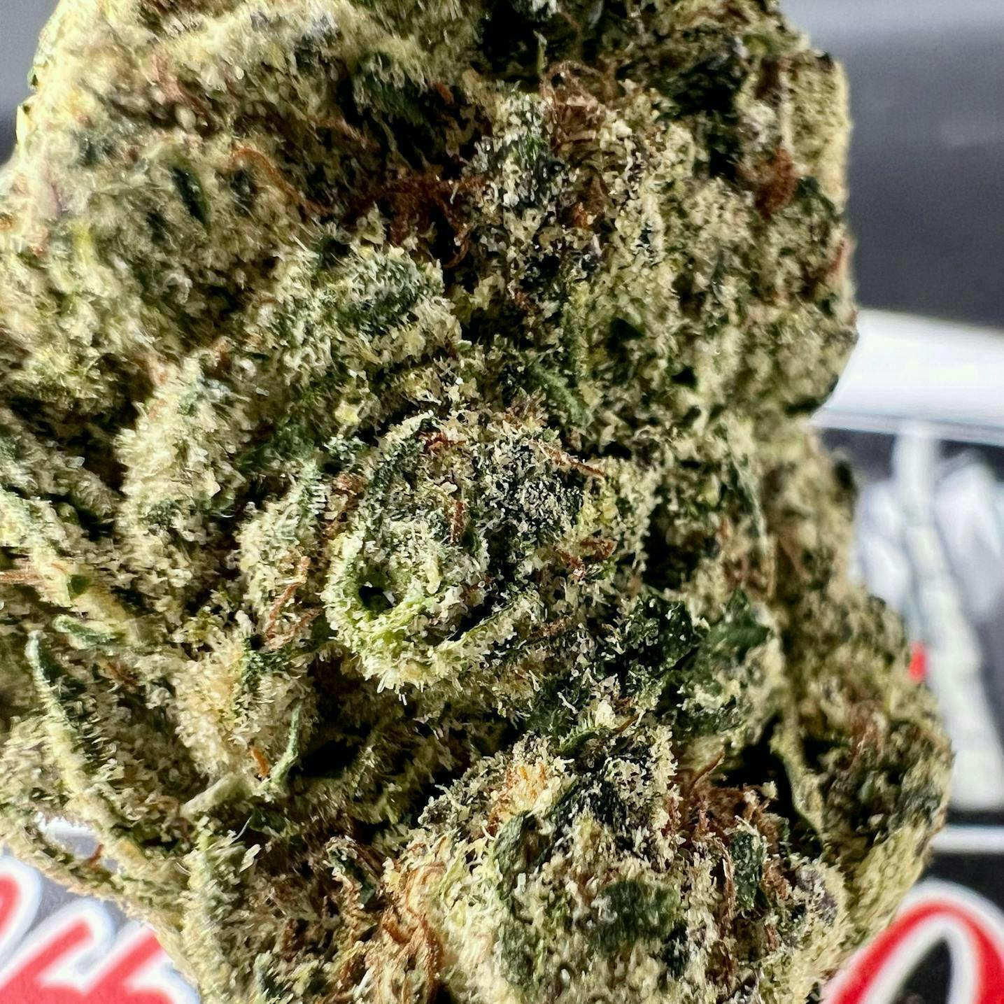 Off The Path Cannabis - Off The Path Cannabis | Godfather OG | Big Buds | 7g - 1