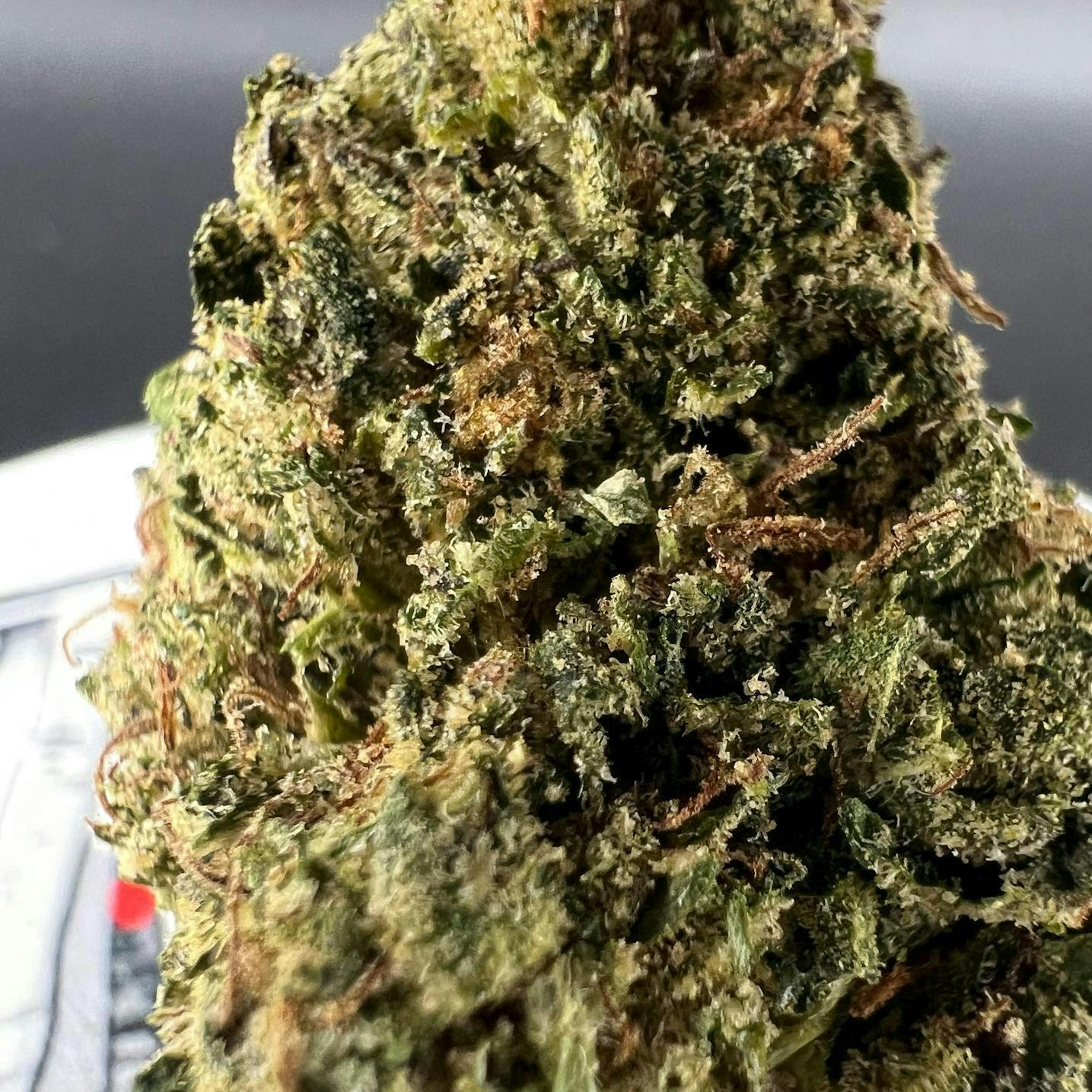 Off The Path Cannabis - Acapulco Gold - 7g - Sativa - Flower - 1