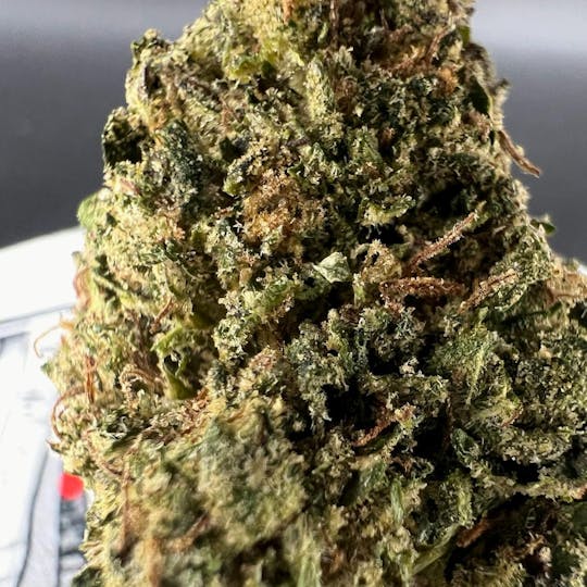 Off The Path Cannabis - Acapulco Gold - 7g - Sativa - Flower - 1