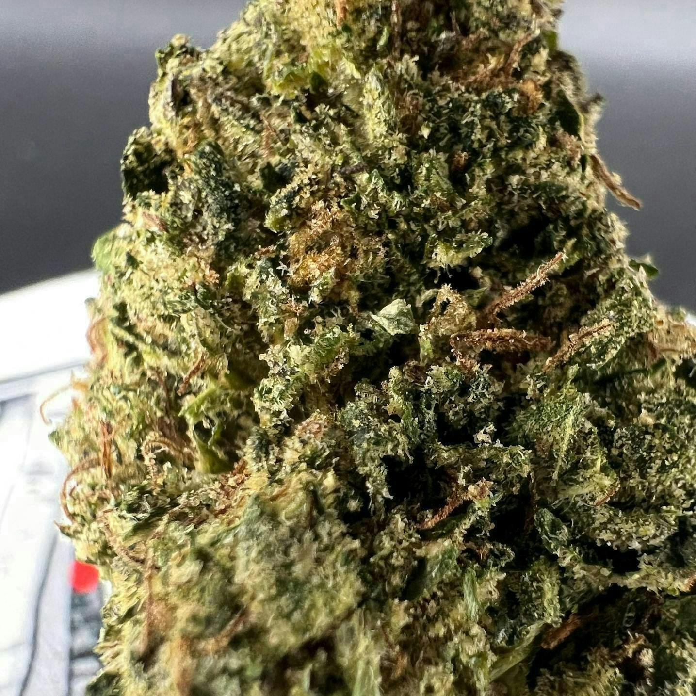 Off The Path Cannabis - Off The Path Cannabis | Acapulco Gold | Big Buds | 7g - 1