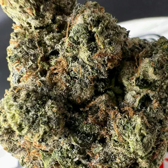 Off The Path Cannabis - Off The Path Cannabis | Black Cherry Kush | Big Buds | 28g - 1