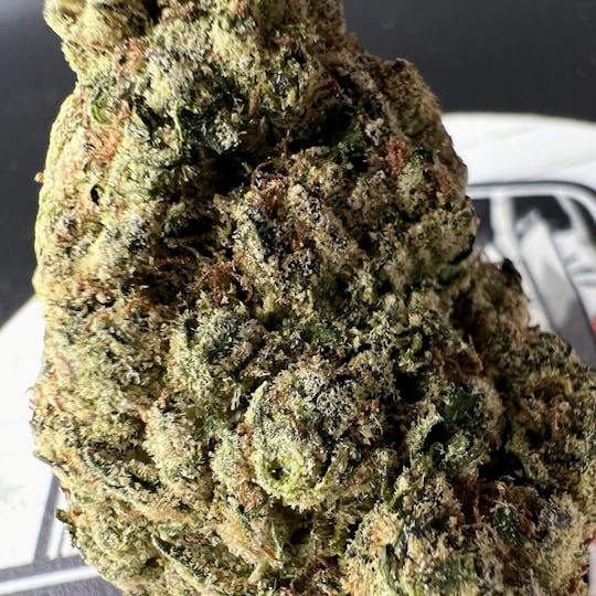 Off The Path Cannabis - Amnesia Haze - Sativa - Flower 7g - 1