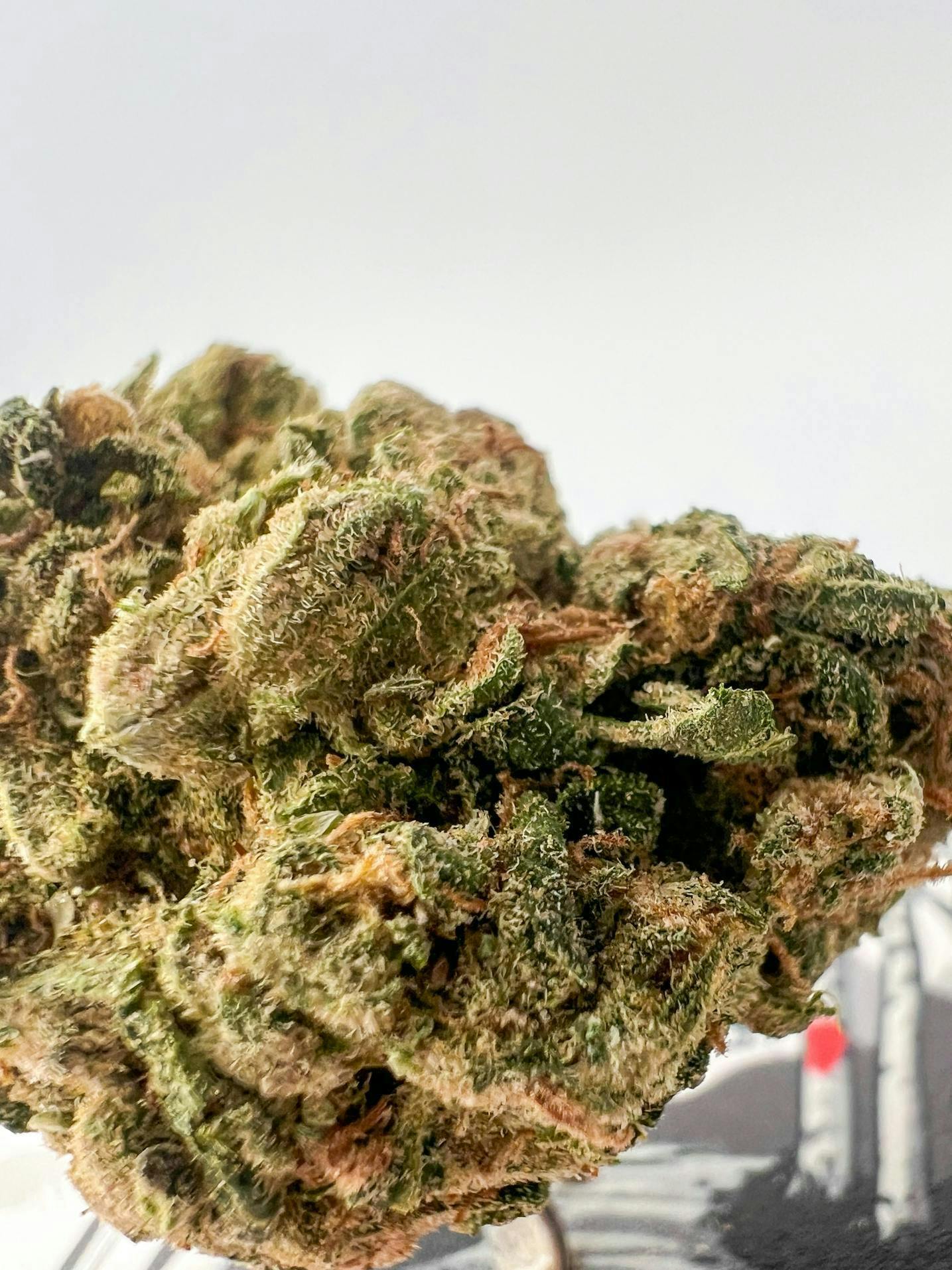 Off The Path Cannabis - Blue Dream - Sativa - 28g - Flower - 1