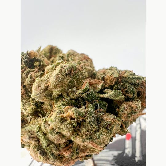 Off The Path Cannabis - Blue Dream - Sativa - 28g - Flower - 1