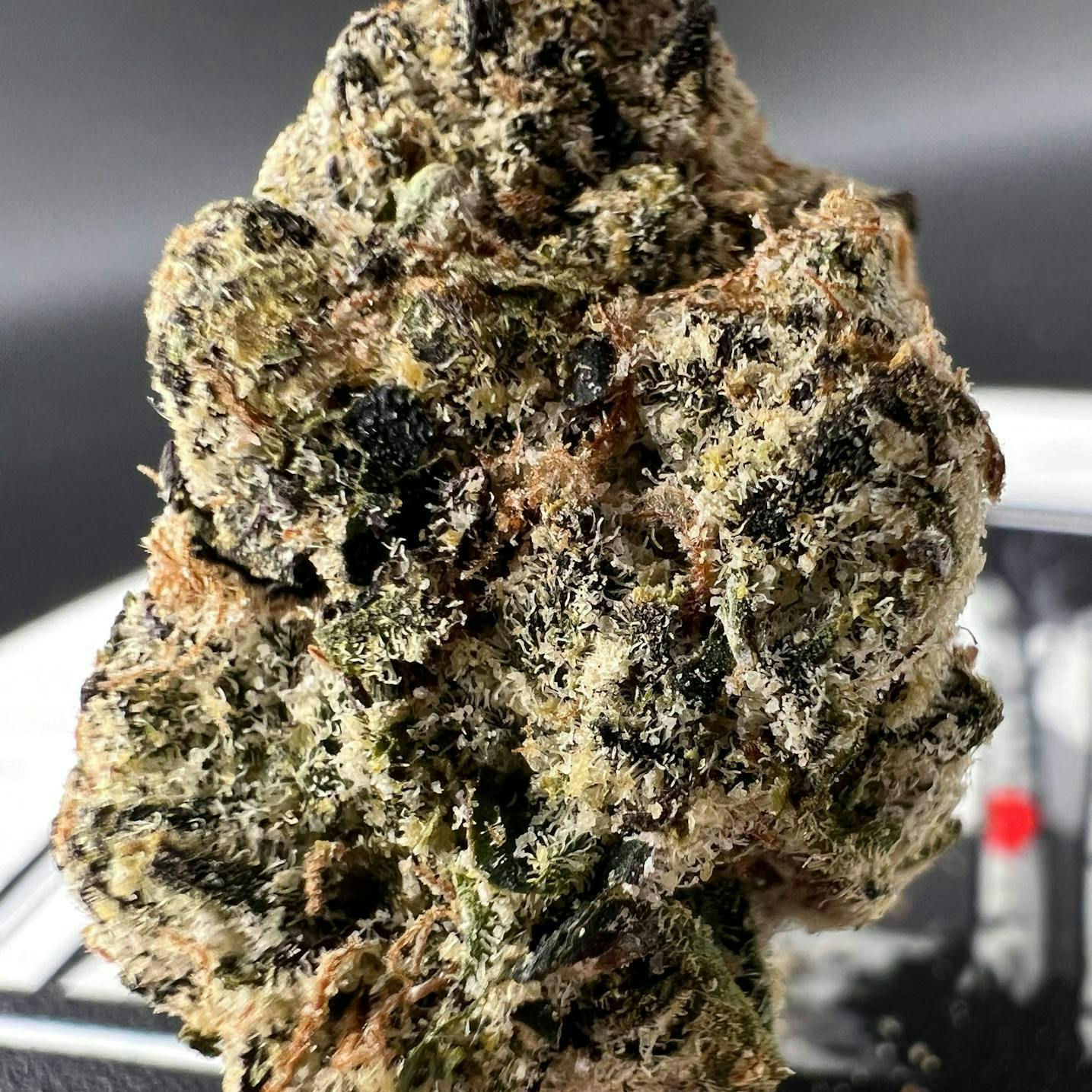 Off The Path Cannabis - Pink Runtz - Hybrid - Flower 28g - 1