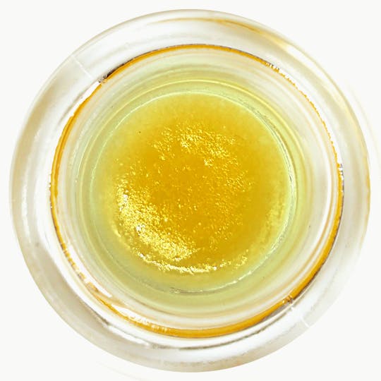 HIMALAYA - Gelato 41 - Terp Sauce Concentrate - 1G - 1