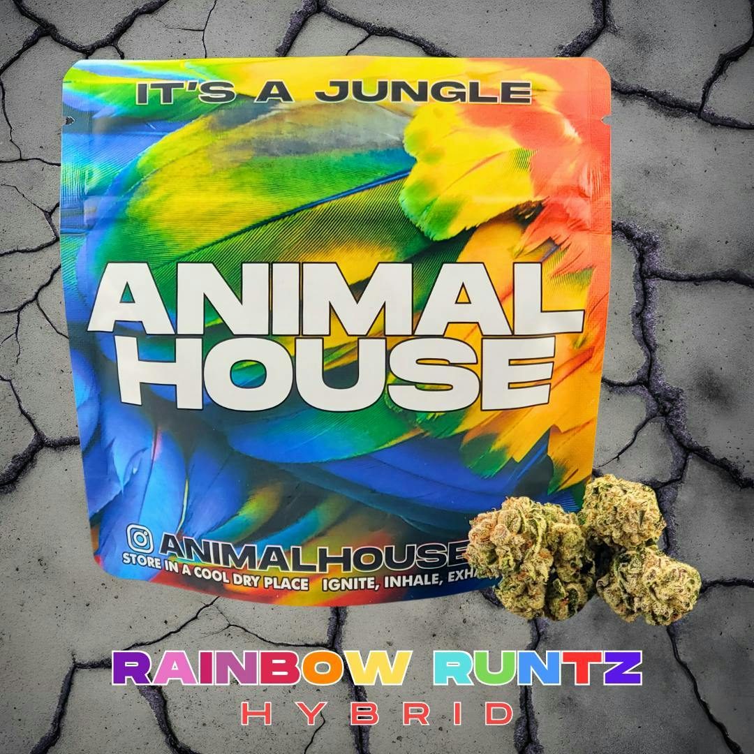 Animal House - Animal House | Rainbow Runtz | Smalls | 5g - 1