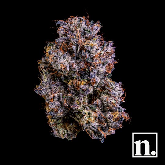 Niche - Bubblegum Gelato | 3.5g - 1