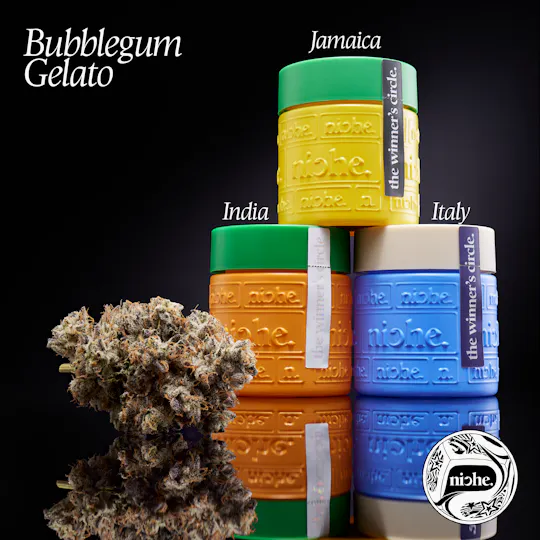 Niche - Bubblegum Gelato | 3.5g - 1