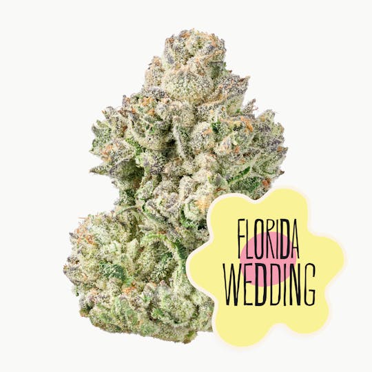 District Cannabis - Florida Wedding Flower - 1