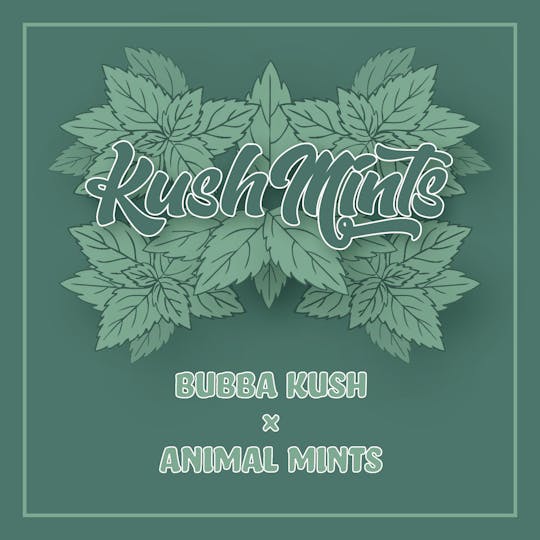 Okie TSGP - Kush Mints - 1g - Live Hash Rosin Batter - 1