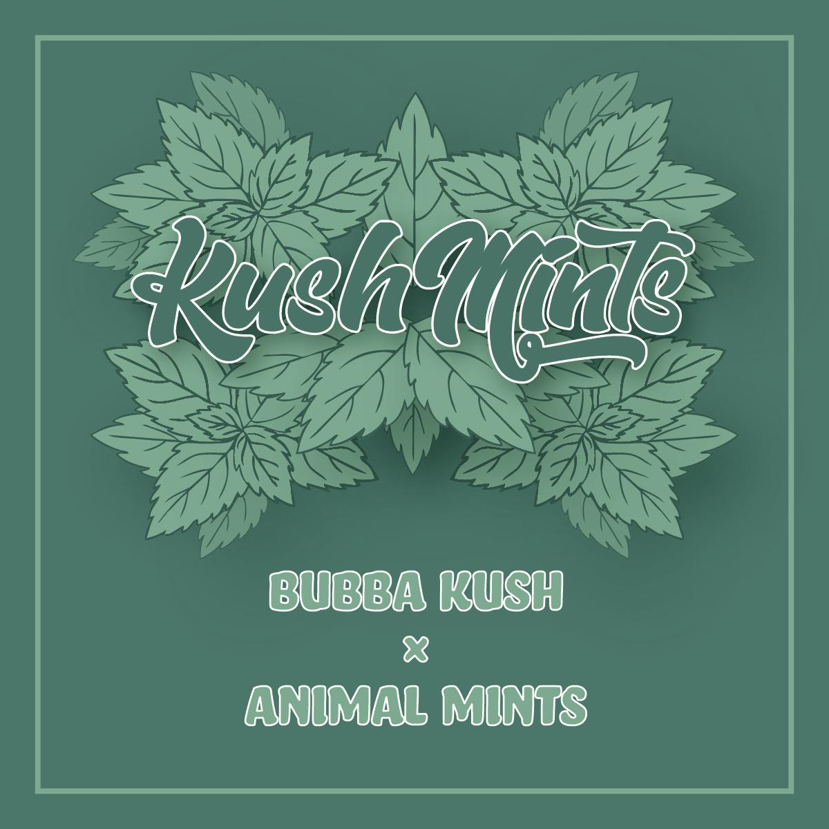 Okie TSGP - Kush Mints - 4g - Live Hash Rosin Batter - 1