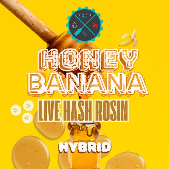 Hash RX - Hash RX - Honey Banana Live Hash Rosin 1g - 1