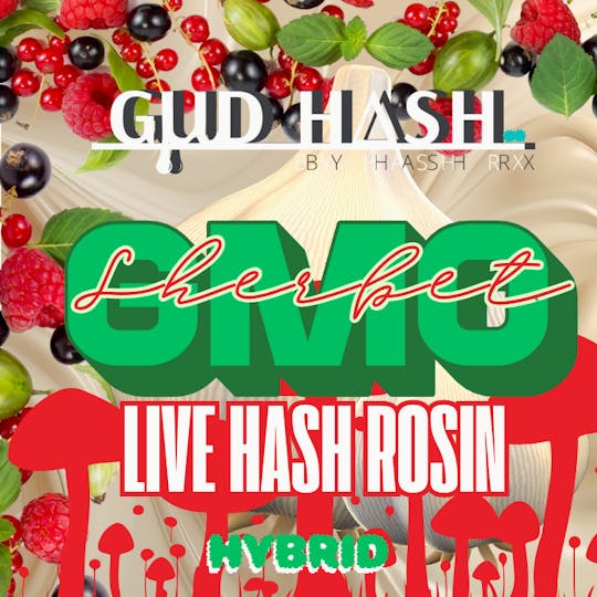 Hash RX - Hash RX - GMO Sherbet Live Hash Rosin 4g - 1