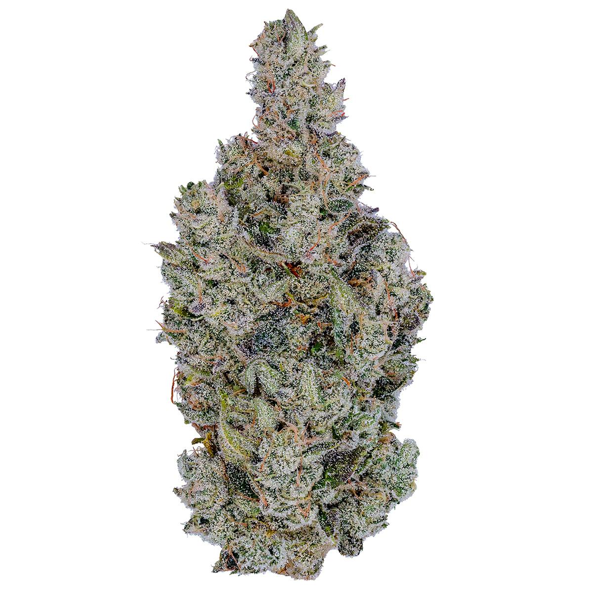 Fig Farms - Holy Cow! - 1