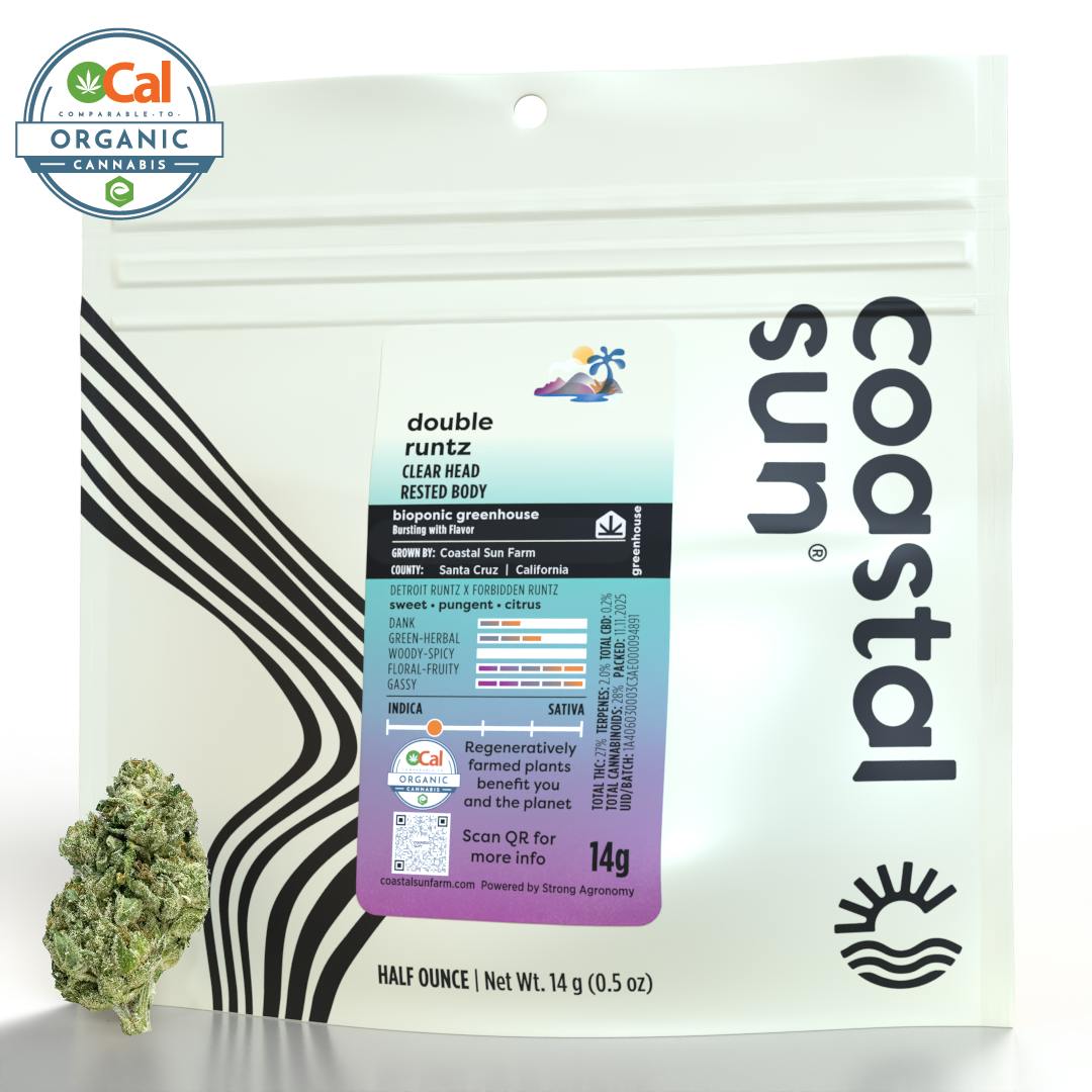 Coastal Sun - Double Runtz Greenhouse Flower 14g - 1