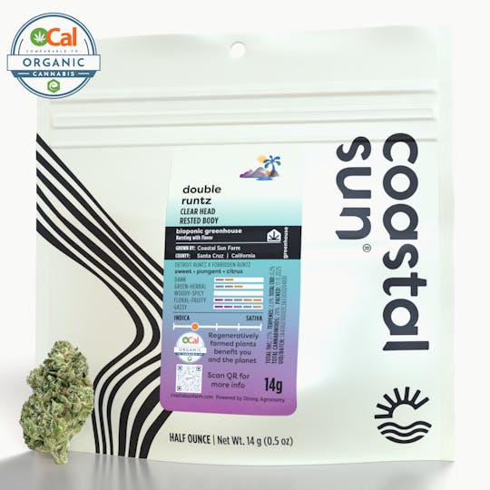 Coastal Sun - Double Runtz Greenhouse Flower 14g - 1