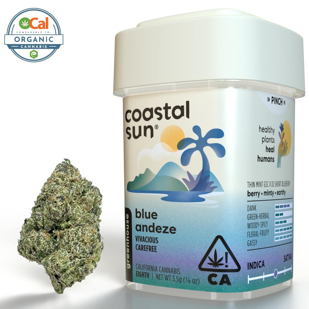 Coastal Sun - Blue Andeze Greenhouse Flower 3.5g - 1