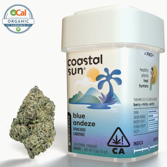 Coastal Sun - Blue Andeze Greenhouse Flower 3.5g - 1