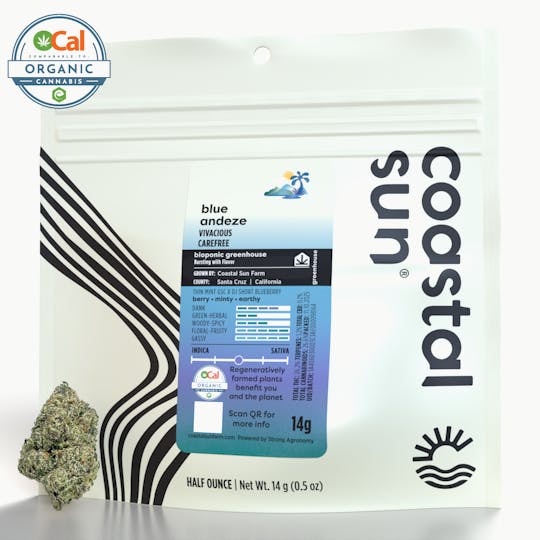 Coastal Sun - Blue Andeze Greenhouse Flower 14g - 1