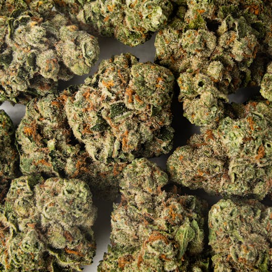 Pacific Stone - Cheetah Piss Sativa (3.5g) - 1