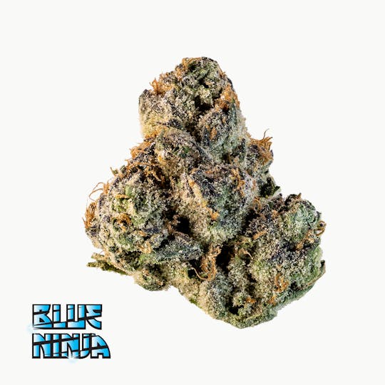 Traditional - Traditional - Blue Ninja 3.5g - 1