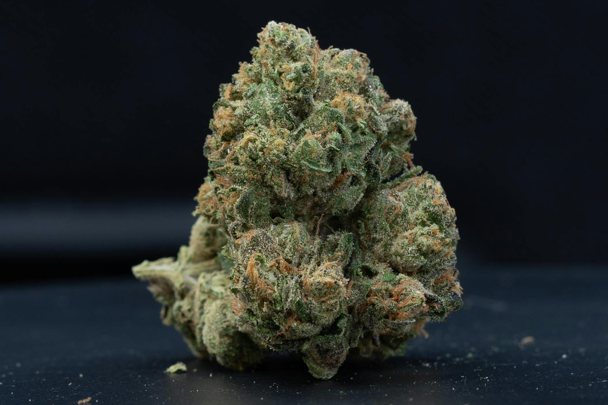 Stash Mountain - Stash Mountain - Triple Lindy Pound - 1