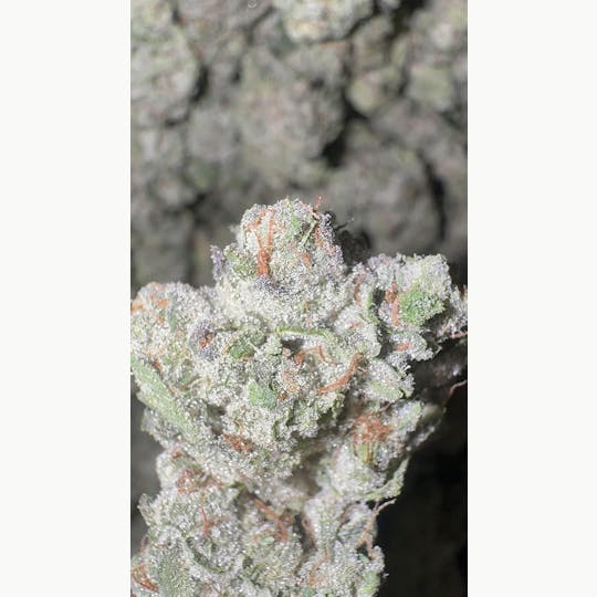 Stash Mountain - Stash Mountain - Cotton Candy Ounce - 1