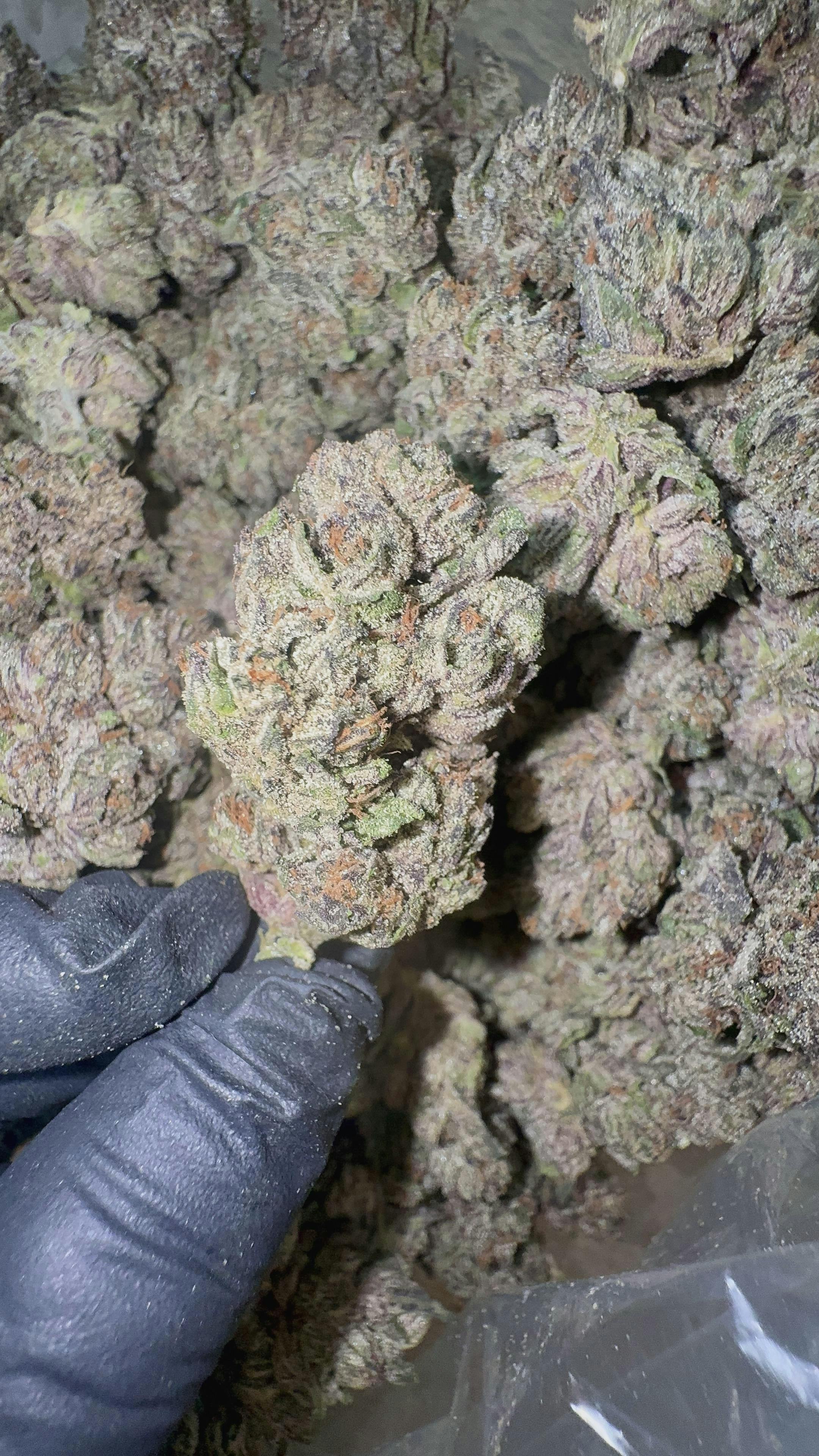 Stash Mountain - Stash Mountain - Cherry Payton Ounce - 1