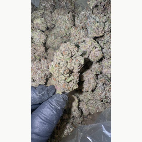 Stash Mountain - Stash Mountain - Cherry Payton Ounce - 1