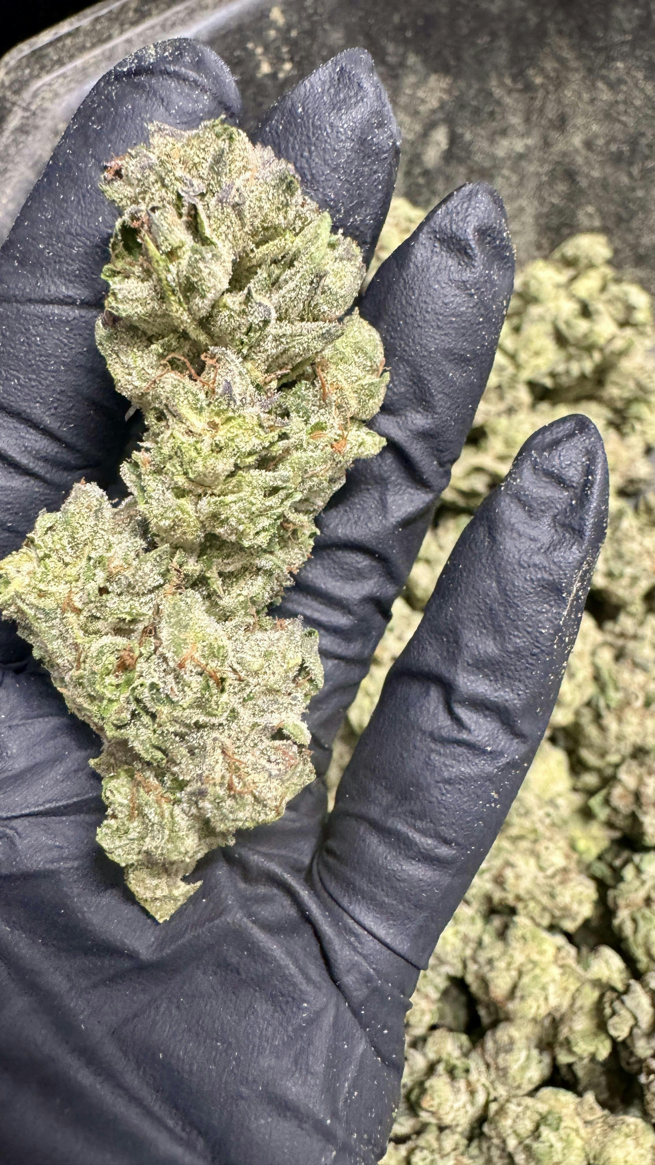 Stash Mountain - Stash Mountain - Animal Face Ounce - 1