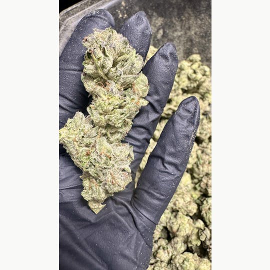 Stash Mountain - Stash Mountain - Animal Face Ounce - 1