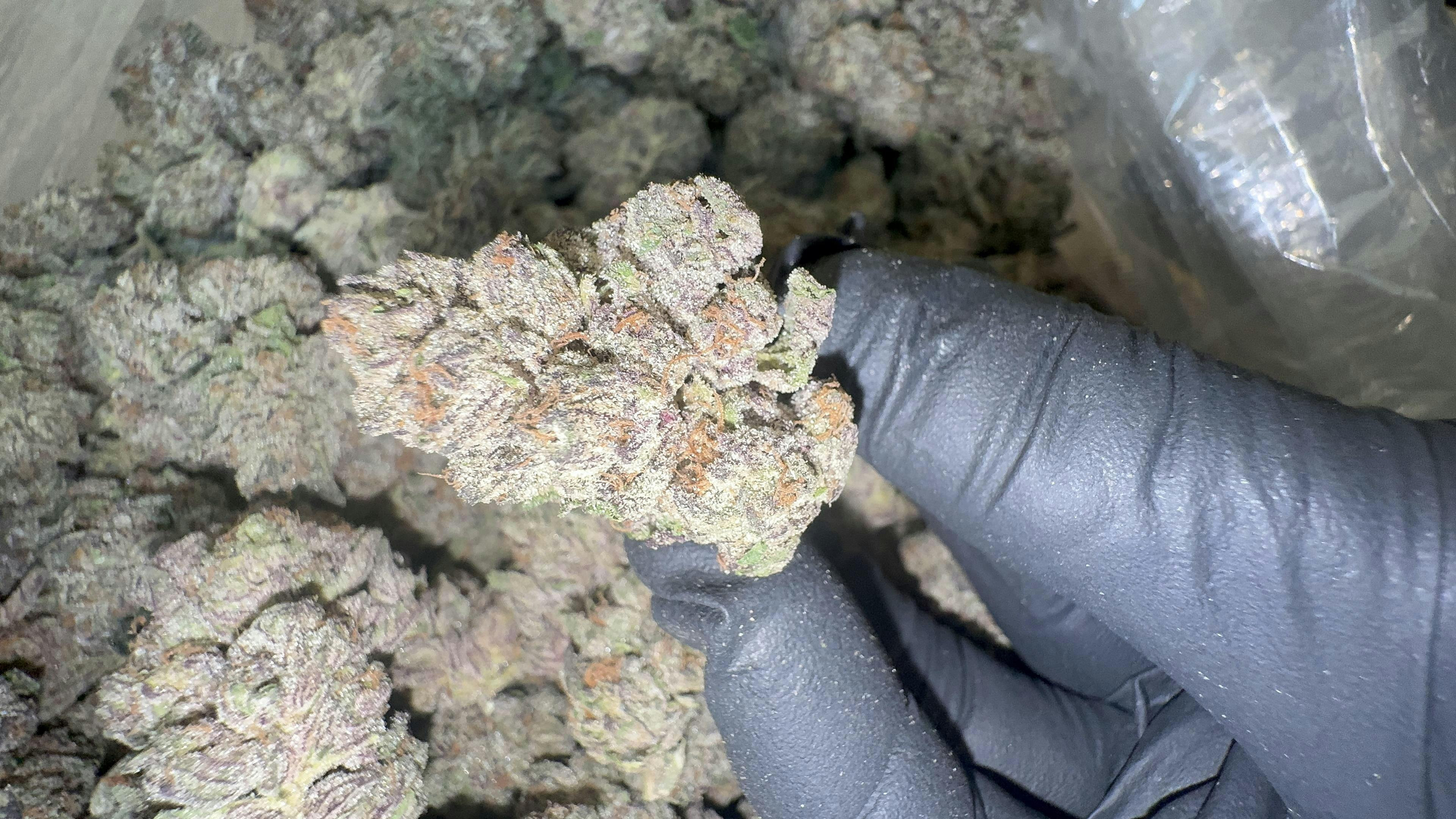 Stash Mountain - Stash Mountain - Cherry Payton Pound - 1