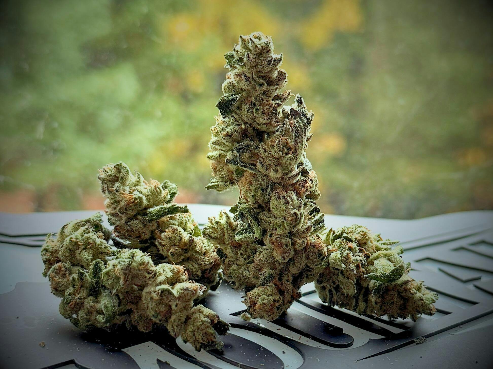 Stash Mountain - Stash Mountain - Pure Michigan Pound - 1