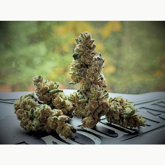 Stash Mountain - Stash Mountain - Pure Michigan Pound - 1