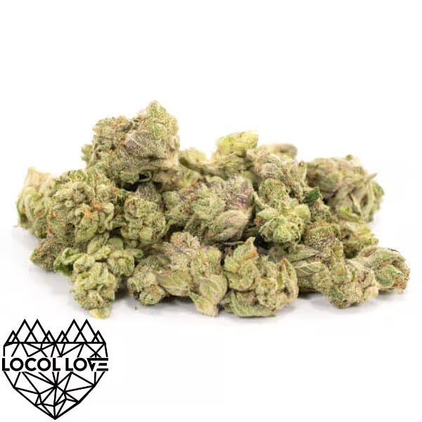 Locol Love - Grape Cream Cake Bulk Flower - 1