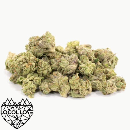 Locol Love - Grape Cream Cake Bulk Flower - 1