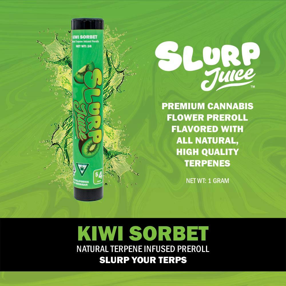 Slurp Juice - Slurp Juice | Kiwi Sorbet | 1G Terp Infused PR - 1