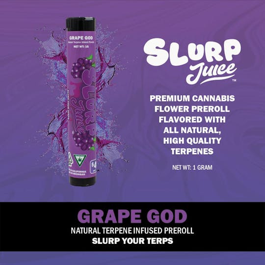 Slurp Juice - Slurp Juice | Grape God | 1G Terp Infused PR - 1