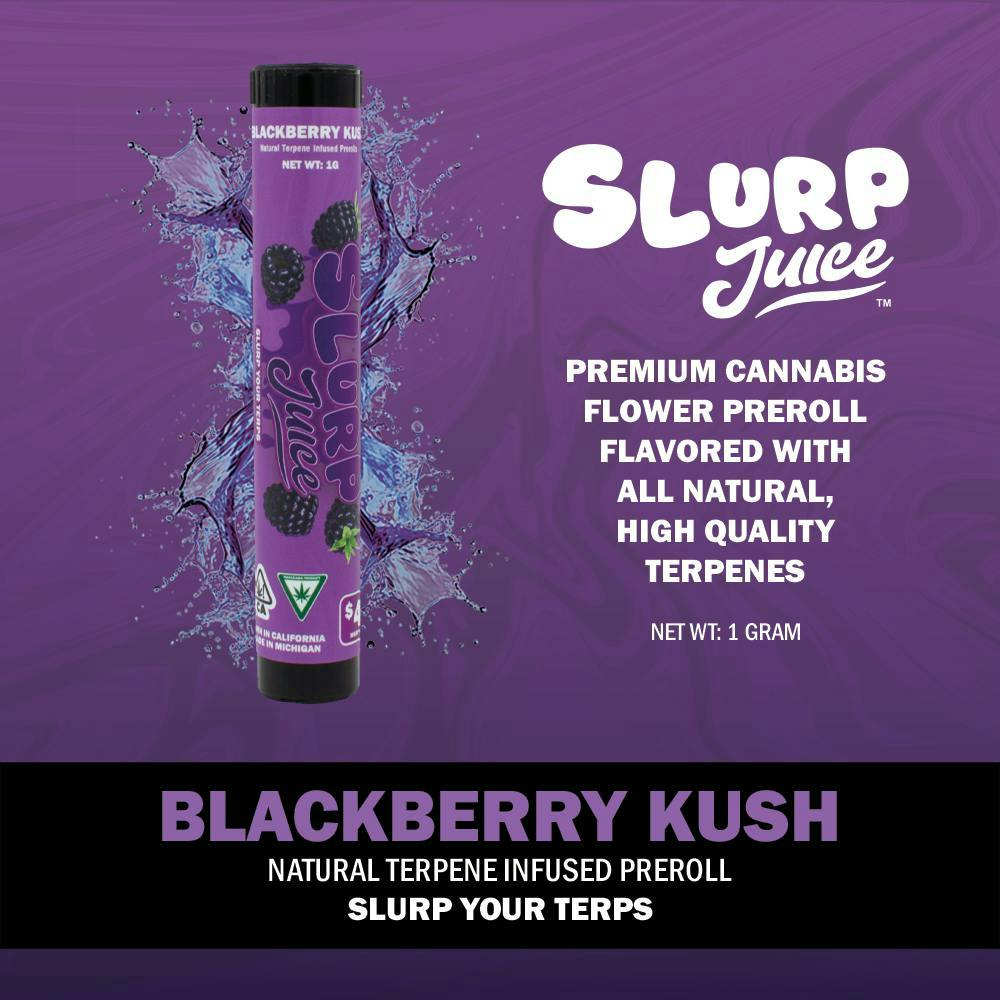 Slurp Juice - Slurp Juice | Blackberry Kush | 1G Terp Infused PR - 1