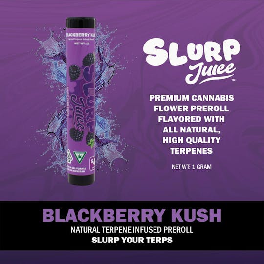 Slurp Juice - Slurp Juice | Blackberry Kush | 1G Terp Infused PR - 1