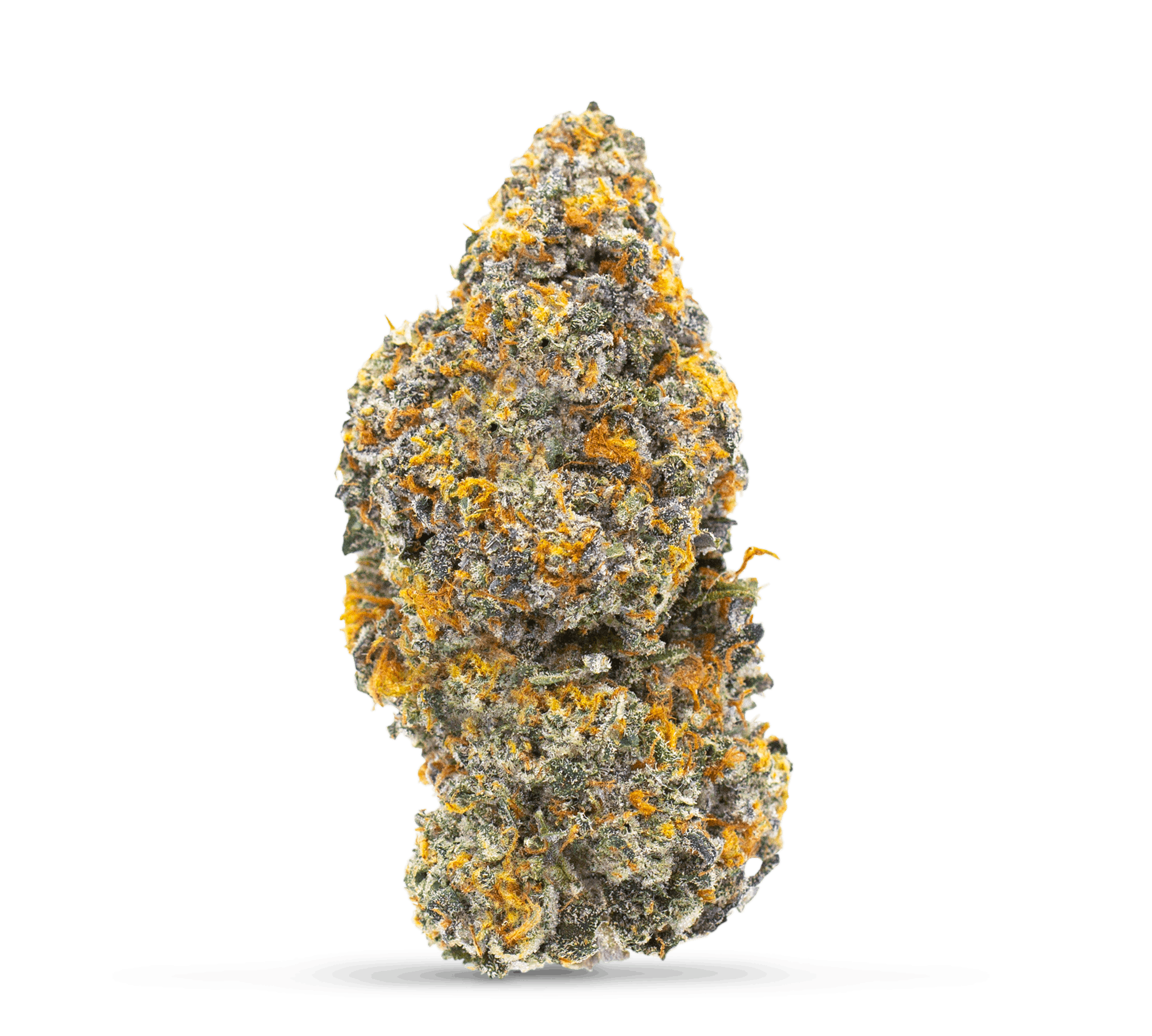 Genuine - Gelato #41 - Indoor Flower - 4.0g (Jar) - 1