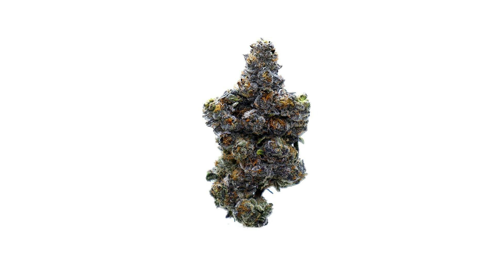Genuine - Gelato Mintz - Indoor Flower - 4.0g (Jar) - 1