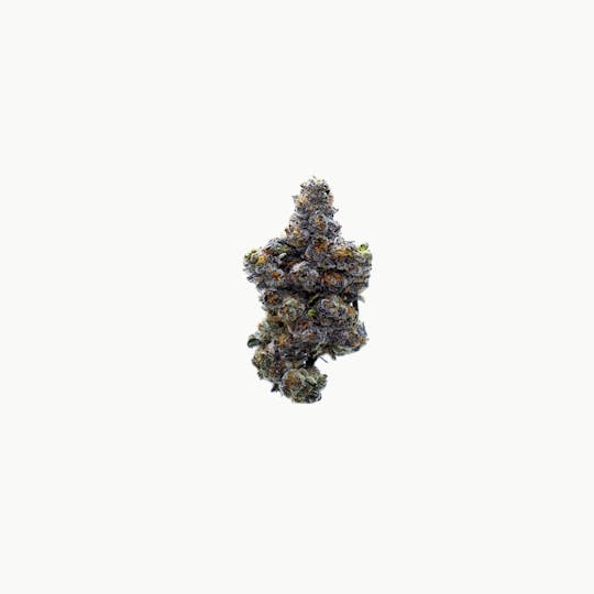 Genuine - Gelato Mintz - Indoor Flower - 4.0g (Jar) - 1