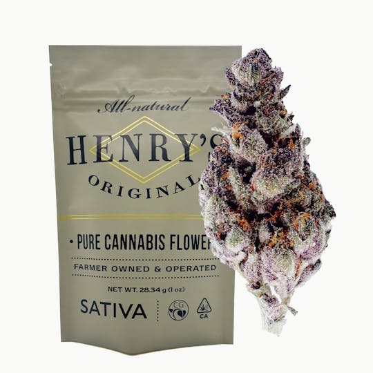 Henry's Original - Pouch Flower- MTN Trop - 1